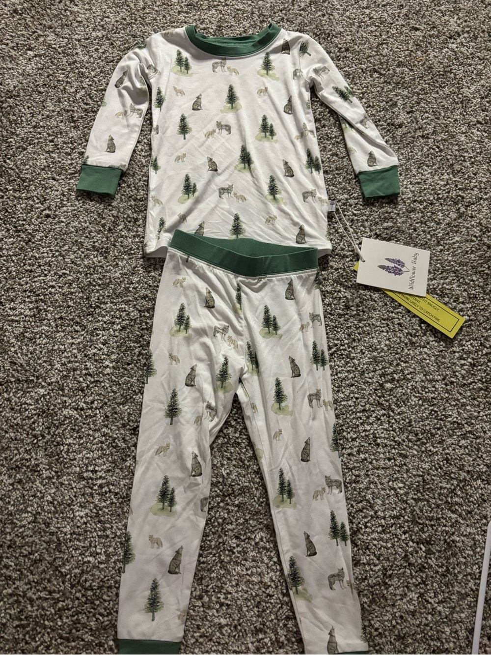 Kids Bamboo Forest Animal Pajama Set - Green Trim
